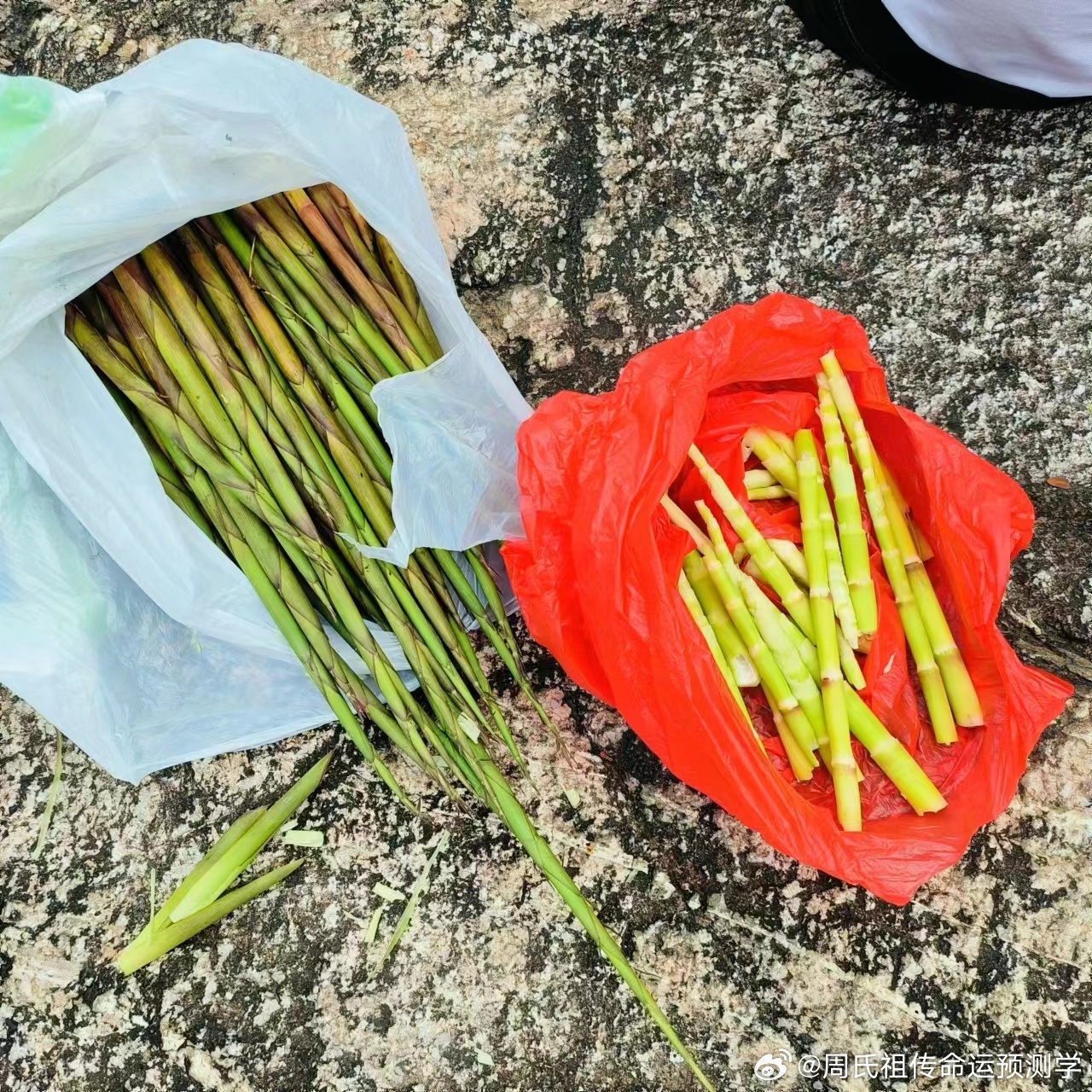 探索与创新，夺笋梗的运用之道