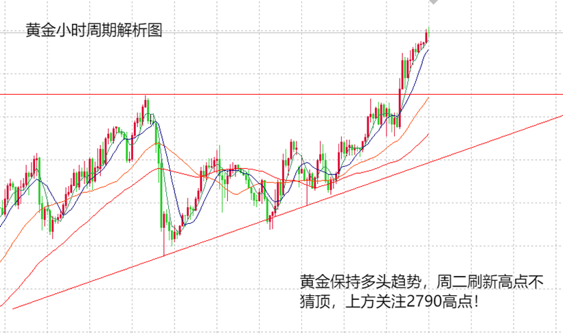 黄金市场大幅回调背后的深度解析，探寻市场波动因素与原因