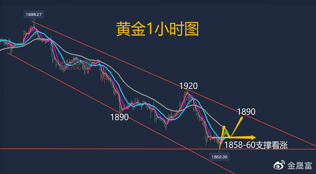 黄金市场震荡调整，投资者需重新考量投资策略