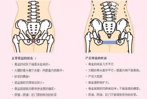 探究人体之美，揭秘谁的骨盆最端正？背后的秘密揭晓！