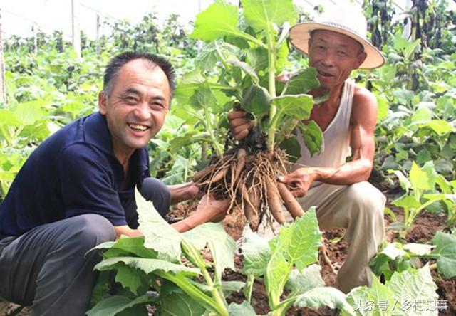 中国老板与墨西哥打工者的交汇，复杂现象的深度探讨