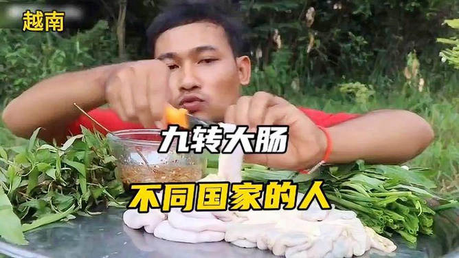 大肠刺身解析，独特的食品文化与美食魅力探索