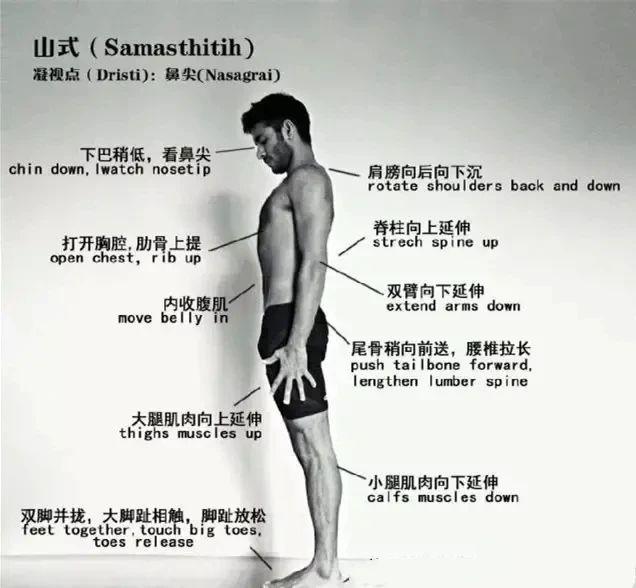 谁的骨盆最端正是哪一年的