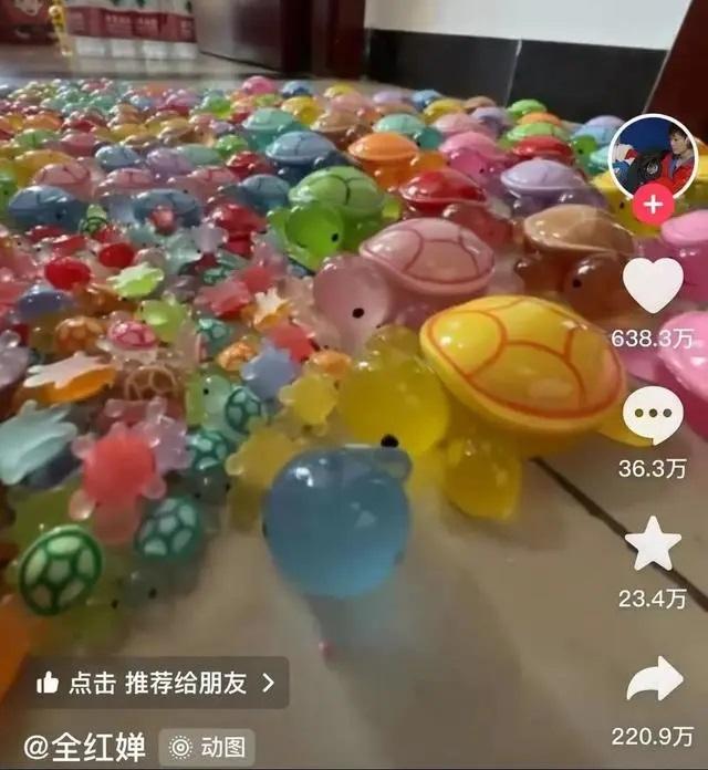 乌龟对对碰游戏破解版，问题背后的深度探讨