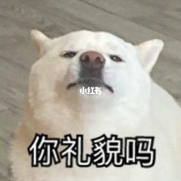 你礼貌吗怎么回复