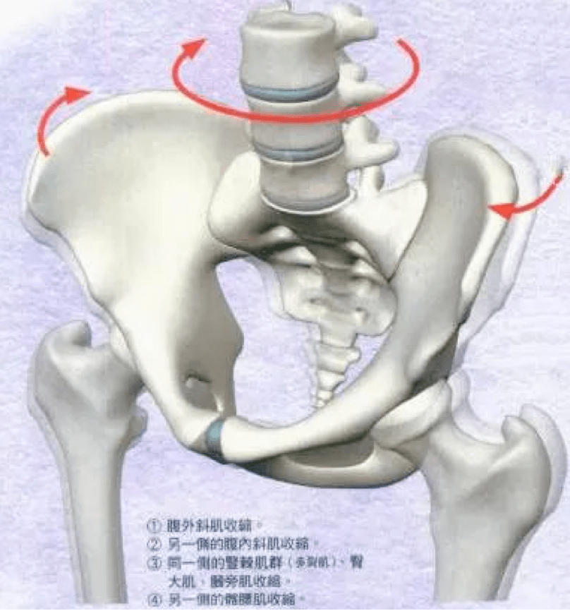 视频教程全集详解，如何判断骨盆最端正的方法