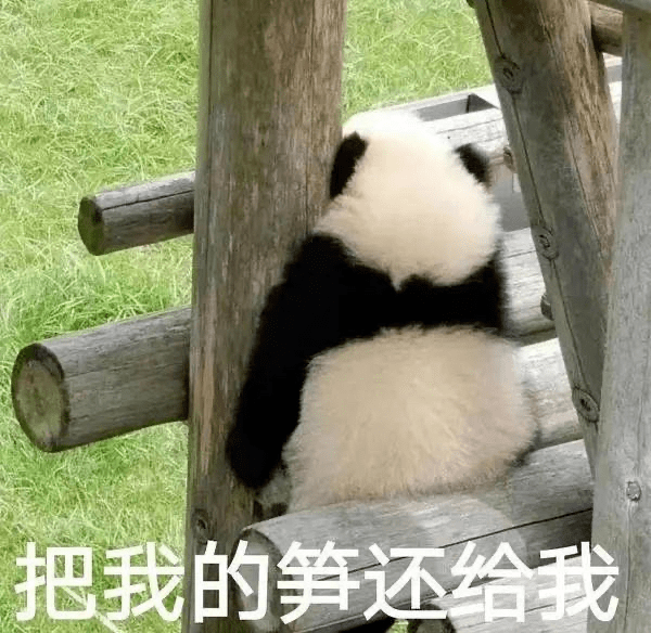 夺笋是什么含义