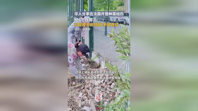 华人跨国实践绿色梦想，法国市长特批开垦种菜行动