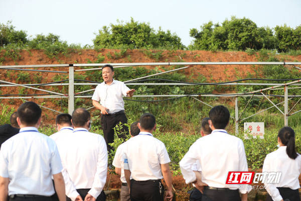 湘潭大学新闻课堂深入株洲农村田间，文旅融合培育新时代人才