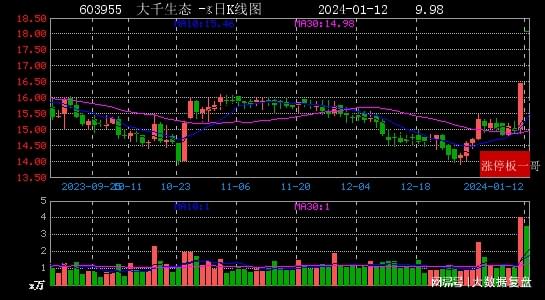 A股市场繁荣脉搏下的大千生态与九连板亮眼表现