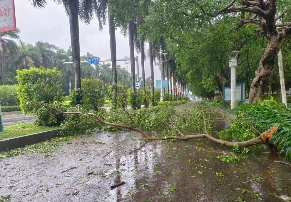 台风潭美与冷空气南下，江门风云突变