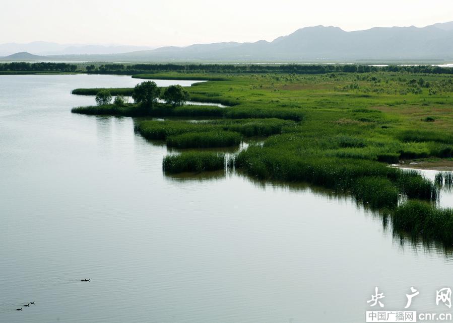 京津冀水源地协同保护，湿地生态美景如画