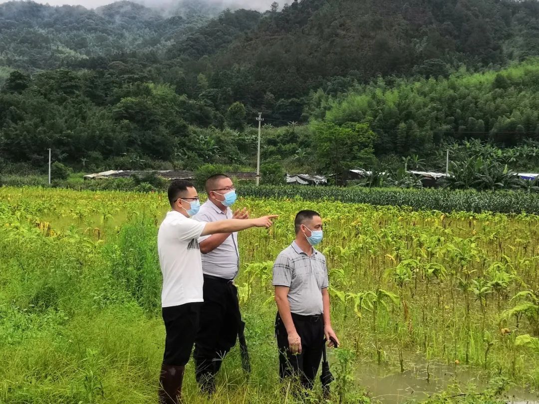 福建：发挥“雷达”作用 筑牢农安防线