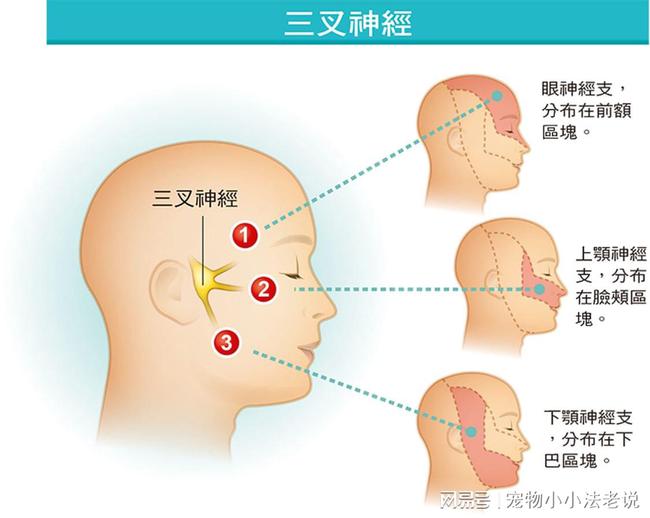 成都北车站数字化转型之路，从驼峰到中枢神经系统的跨越