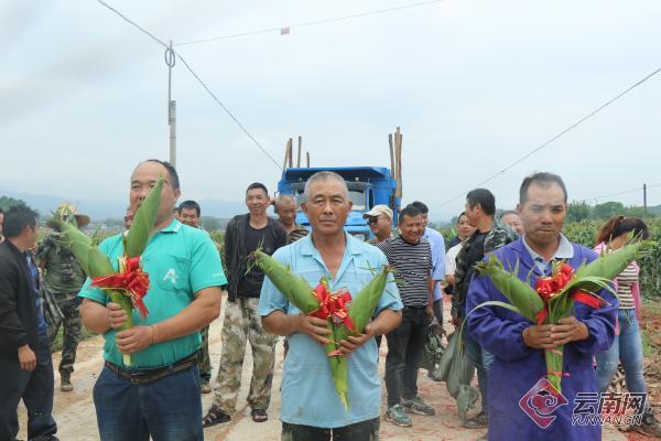 景谷县正兴镇球场变市场豆子丰收销售繁忙景象