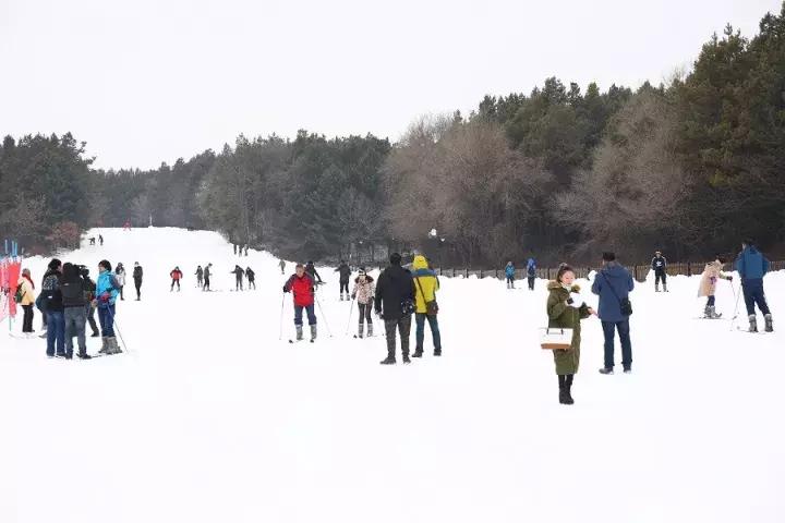 净月高新区，主线引领联动共融，开启冰雪产业盛宴！