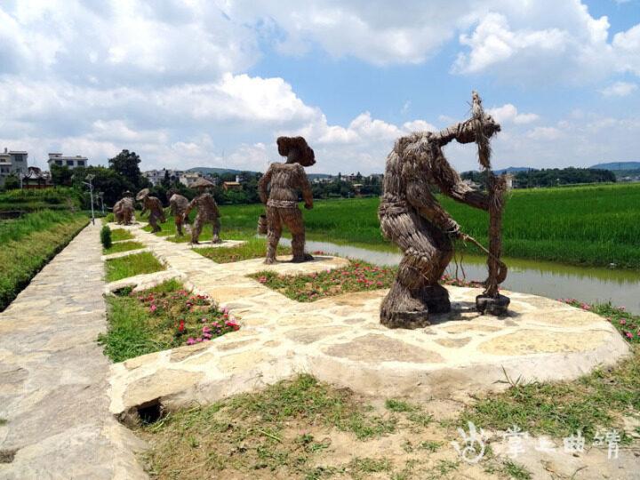 曲靖马龙，电助种植，激活地方经济