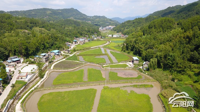 忠县独珠村变形记，山水林田湖草沙保护修复的新篇章揭秘