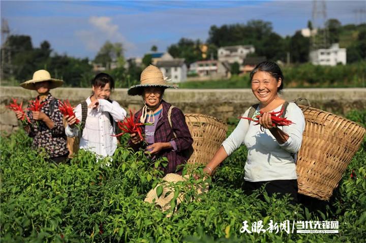 精品男鞋 第36页