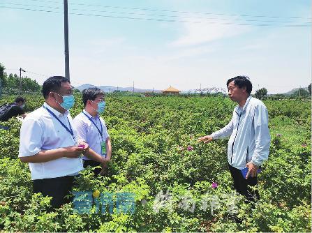 定陶区与保加利亚续写玫瑰情缘