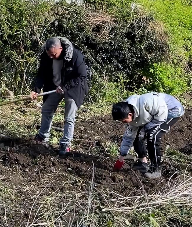 法国荒地变中国菜园，文化与地域的传奇交融