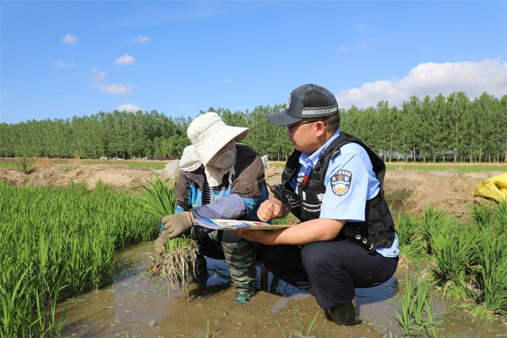 田间警务守护丰收的乐章，新村派出所守护记