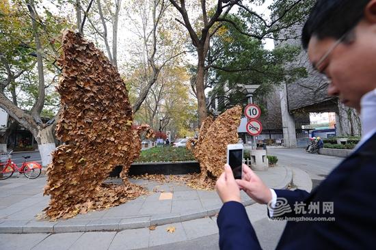 杭城秋日交响曲，气温骤降与落叶遍地的韵味