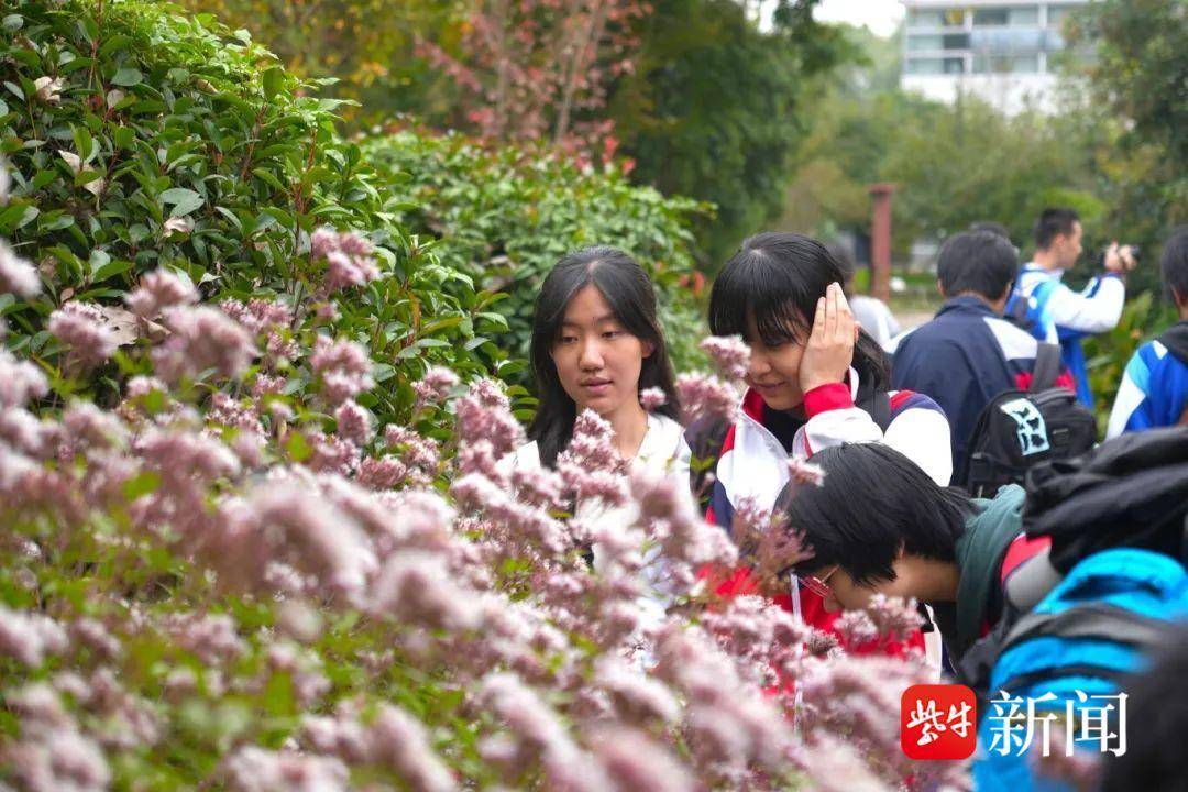 南京金中河西分校学子探寻高校学术殿堂之旅