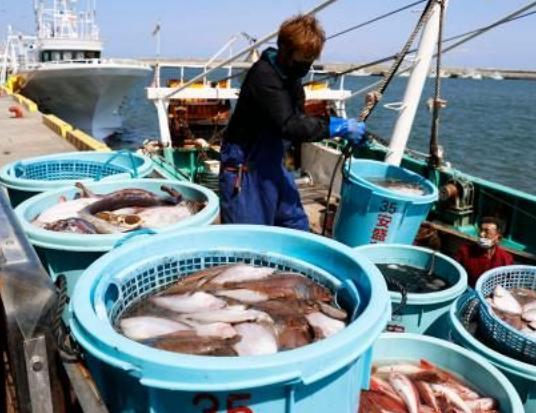 日本核污染水排海，全球海洋环境的严峻挑战与全球责任（涉政警示）