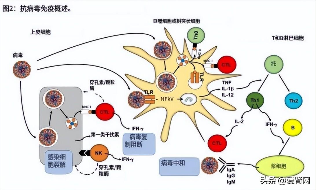 世卫组织发出超级细菌警告